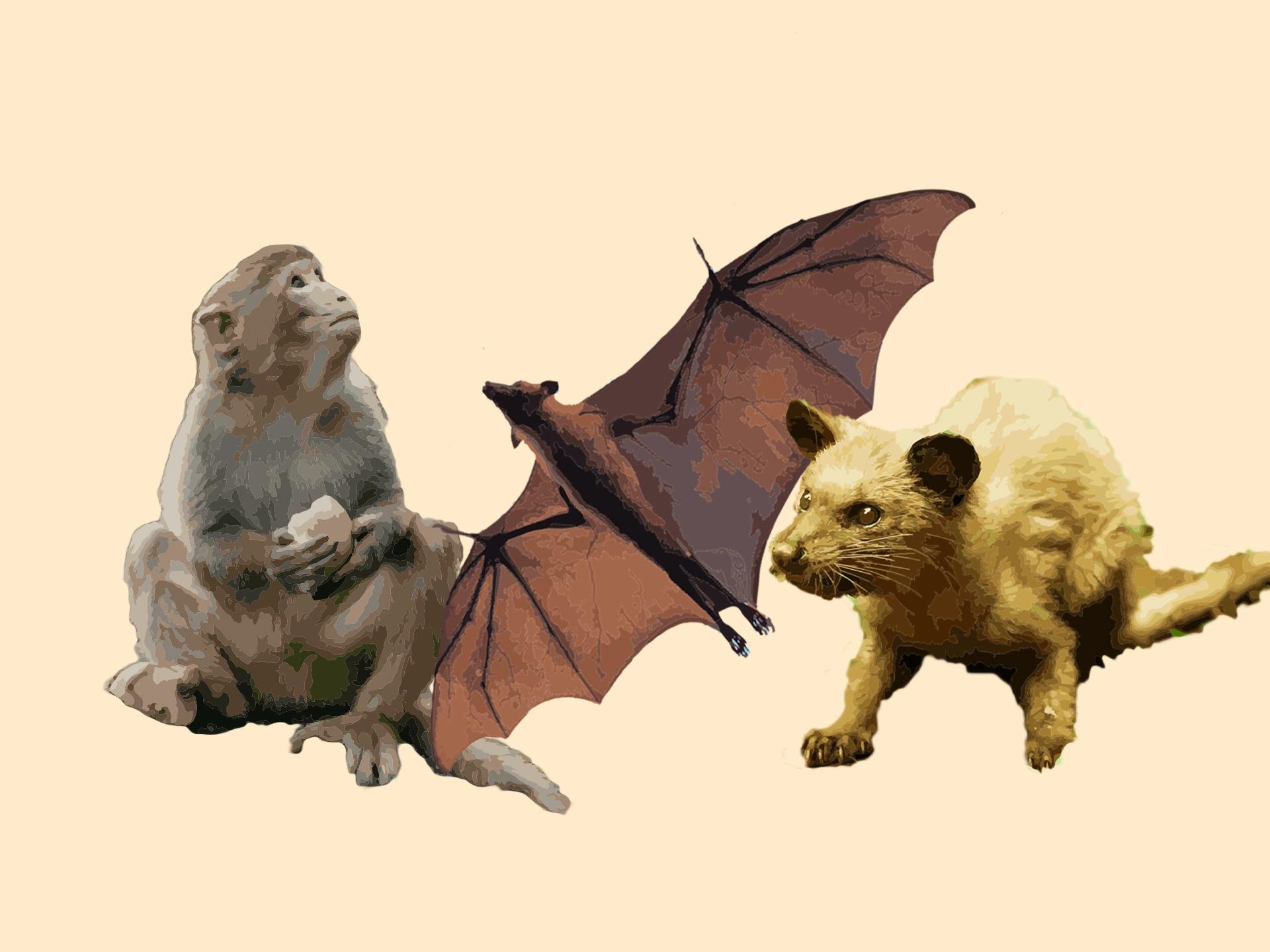 Dünya'nın En Sıradışı Kahveleri