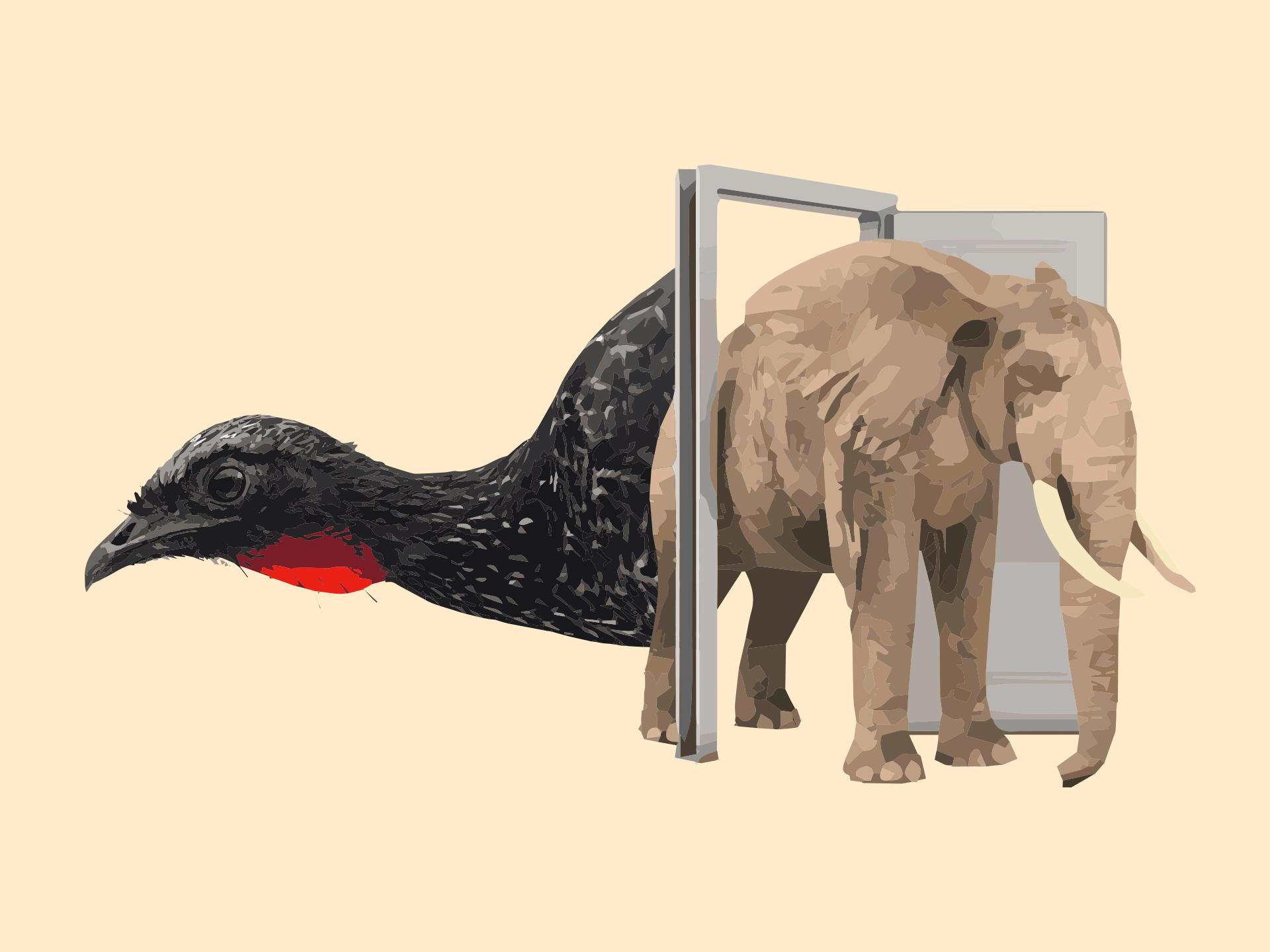 Dünya'nın En İlginç Kahveleri